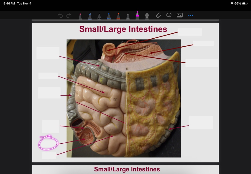 <p>What is this?</p>