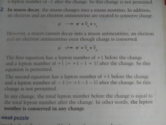 <p>A particle that decays into an electron</p>