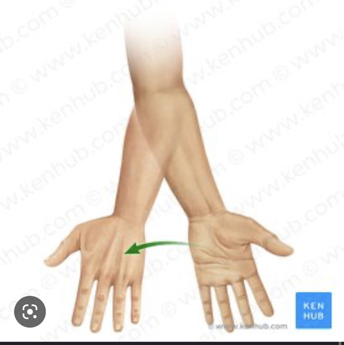 What’s the name of this movement