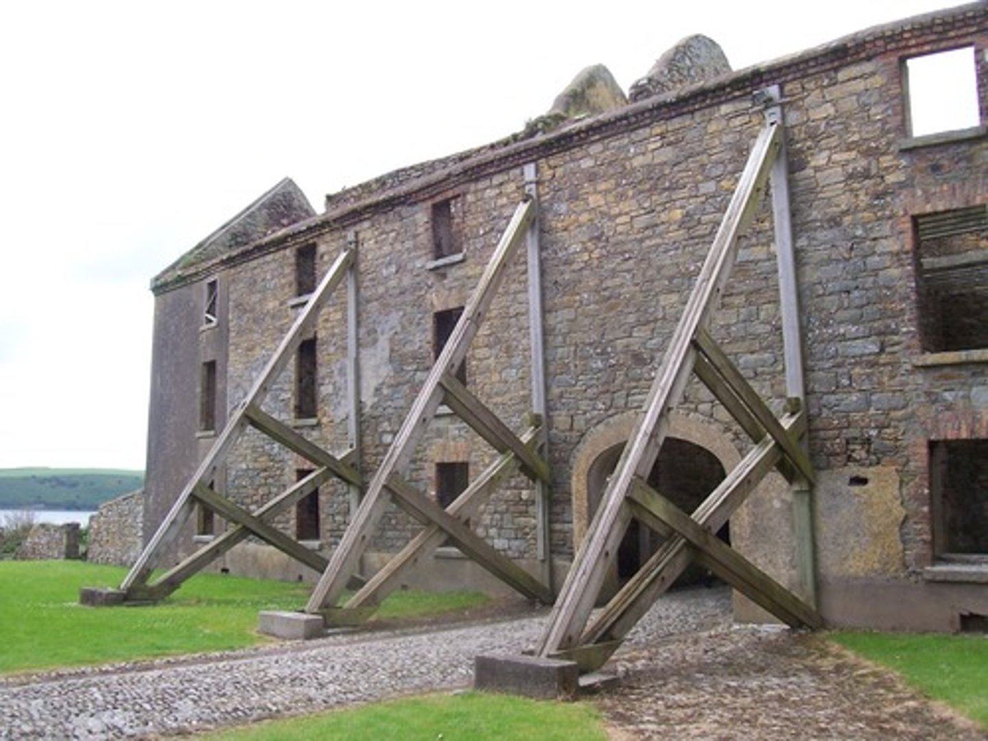 <p>(v) tăng cường, củng cố</p>