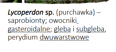 <p>Lycoperdon sp.</p><p>Gr.: BASIDIOMYCOTA</p><p>Podgr.: AGARICOMYCOTINA</p><p>Kl.: Agaricomycetes </p><p>Rz.: Agaricales</p>