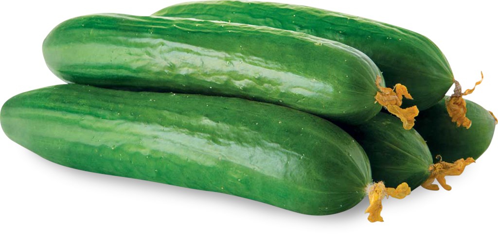 <p>die Gurke (n)</p>