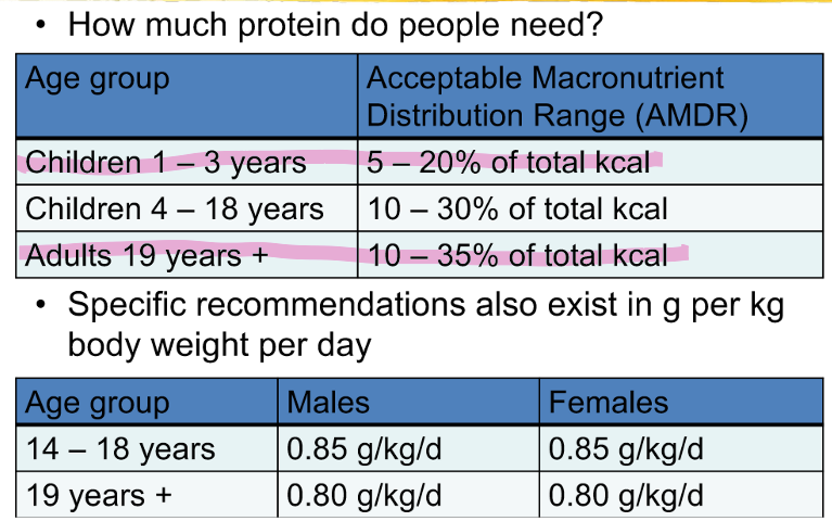 <p></p><p>soy is a complete protein and is plant based: tofu, edame</p>