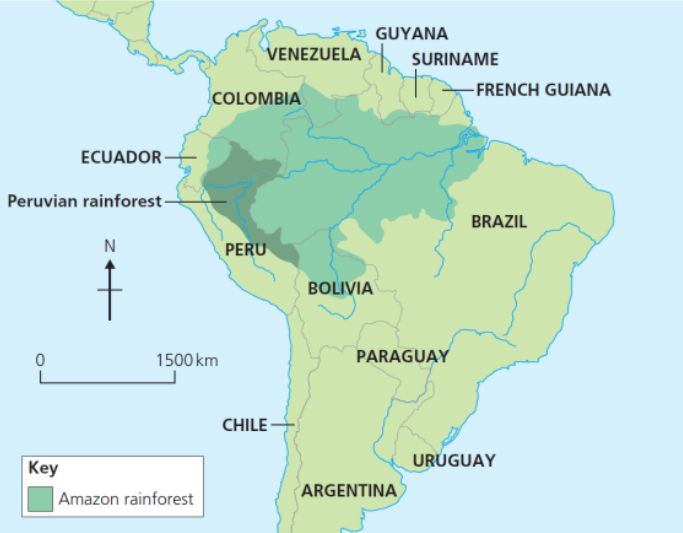 <p>Northeast Peru, South America</p>