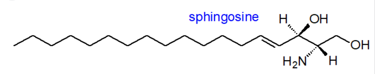 <p>Sphingosine, 18C, DB on 5</p><p></p>