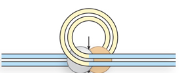 <p>First transposase forms a multimer at the inverted repeat region</p>