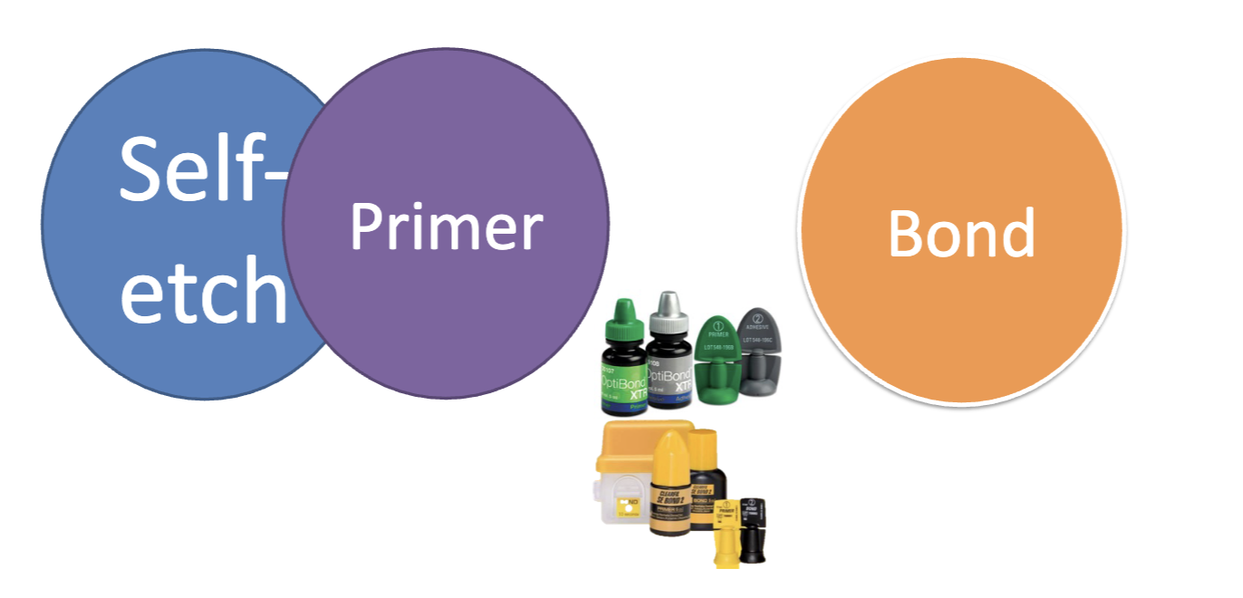 <p>2-step self-etch (<strong>go-to??</strong>)</p><ol><li><p>self etch + primer, dry</p></li><li><p>bond</p></li></ol><p></p>