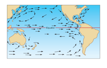 <p>Equatorial winds blow toward the center of the ocean from both sides.</p>