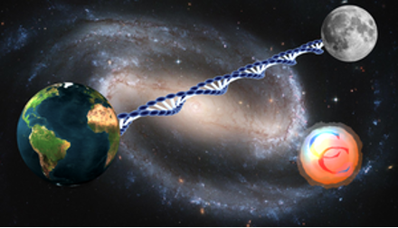 <p>In a single human, we have enough DNA to stretch from the surface of the earth to the moon</p>