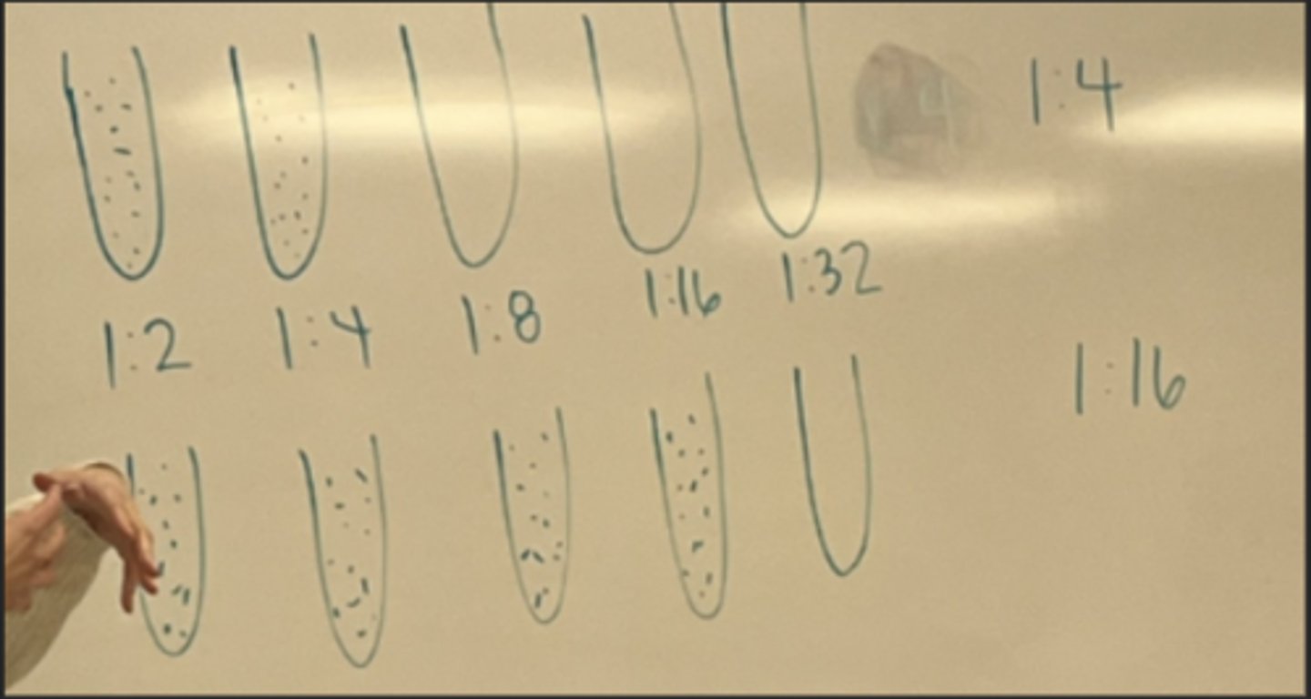 <p>Testing for optimal diagnosis of current infection</p><p>Acute is collected when disease is first suspected</p><p>Convalescent is collected 2 weeks after acute phase</p><p>Diagnosis requires a four-fold or two doubling dilutions between the acute and convalescent</p>