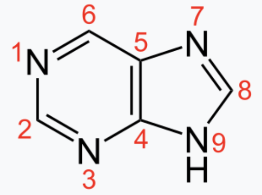 <p>which purine substrate donates nitrogens 3 and 9?</p>