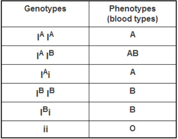<p>3, Ia, Ib, and i</p>
