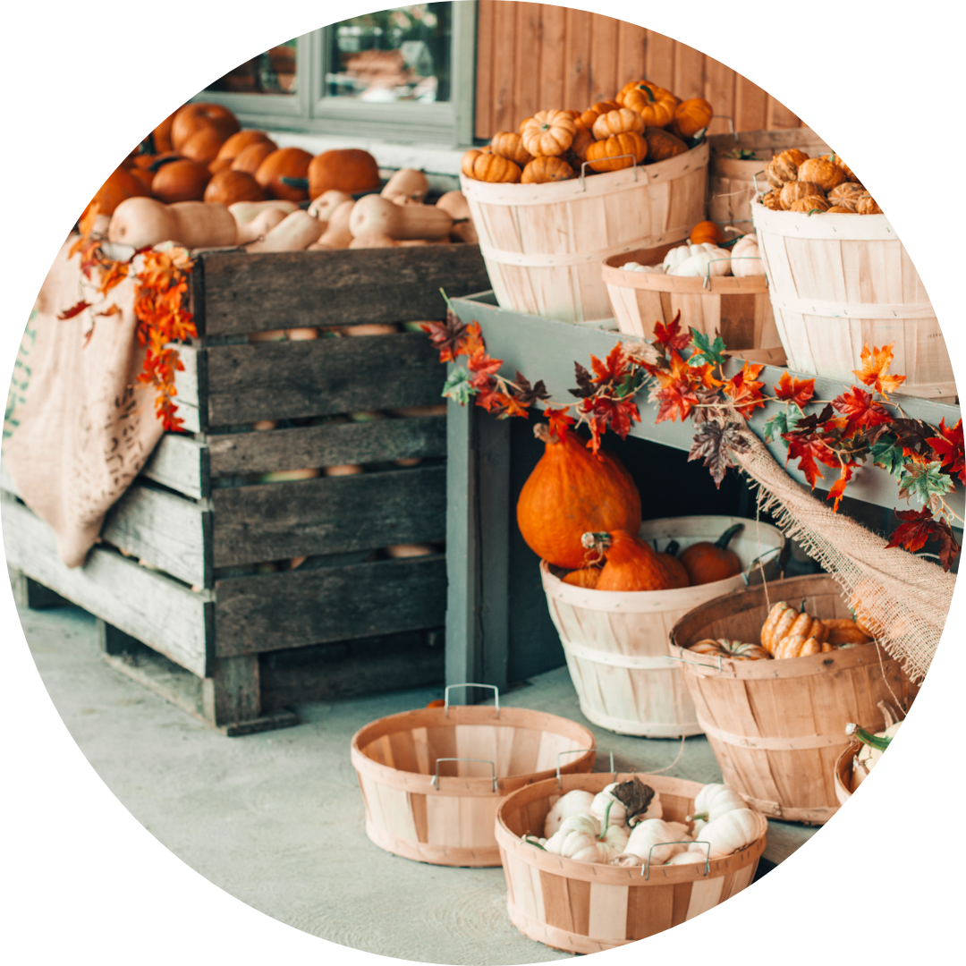 <p><span><strong>go to a place where people sell food and items in autumn</strong></span></p><p><span>My friends and I are going to visit a fall market this weekend.</span></p>