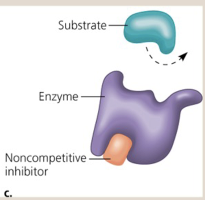 <p>1.) Substrate<br>2.) Enzyme<br>3.) Noncompetitive inhibitor<br>*Note that at the lightning bolt, the shape of the enzyme is warped because of the noncompetitive inhibition</p>
