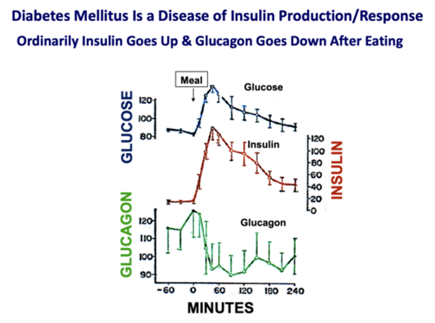 <p>- Insulin increases</p><p>- Glucagon decreases</p>