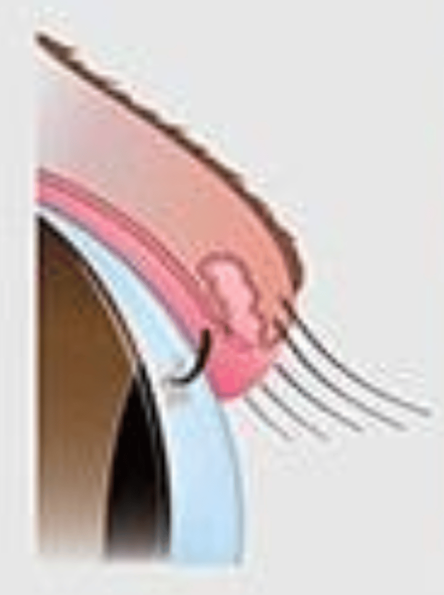 <p>what is this called?</p>