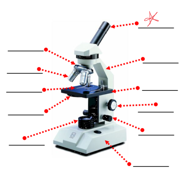 <p>this part of a microscope</p>