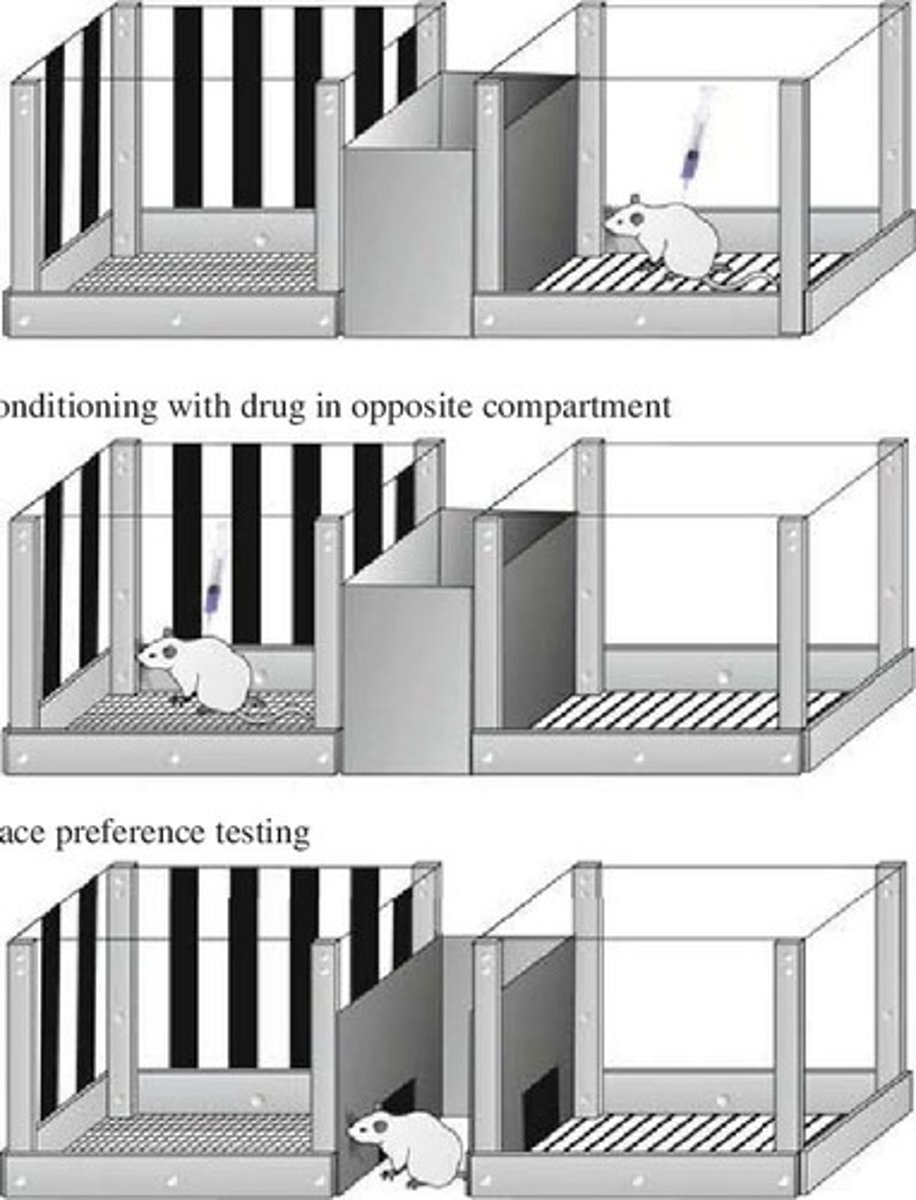 <p>The context (CS) can influence the conditioned response when paired with an unconditioned stimulus (US) like a drug.</p>