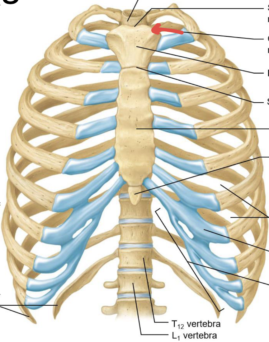 <p>what is this?</p>