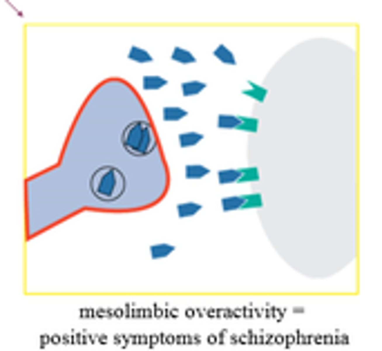 <p>schizophrenia is linked to an imbalance of dopamine</p>