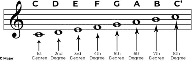 <p>A step in the scale</p>