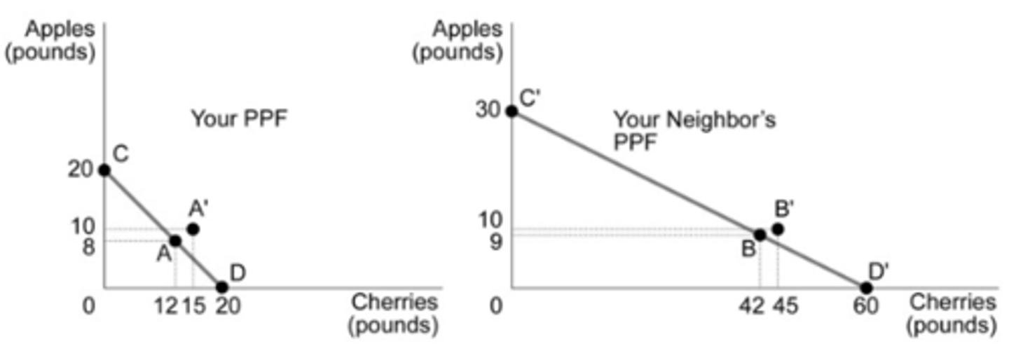 <p>d. Point B' is your neighbor's consumption after trade.</p>