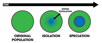 the cooccurrence of two species where there is an absence of a geographic barrier 
