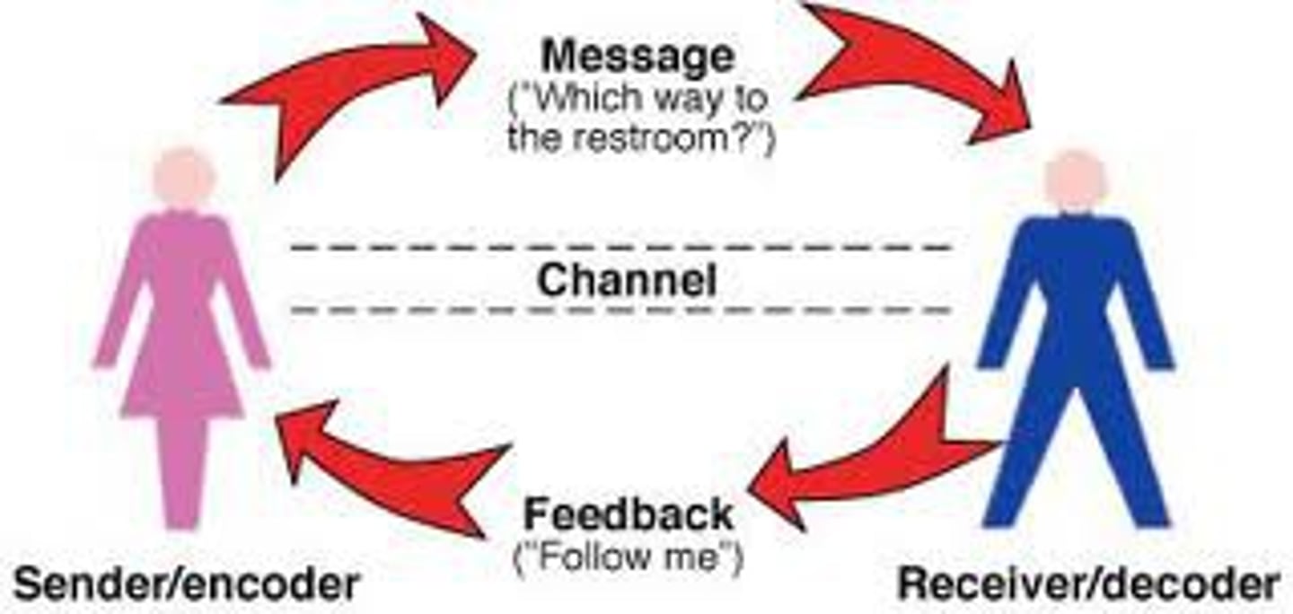 <p>sender, message, receiver, feedback</p>