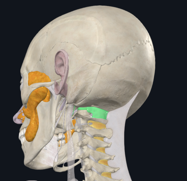 <p>What is highlighted green</p>