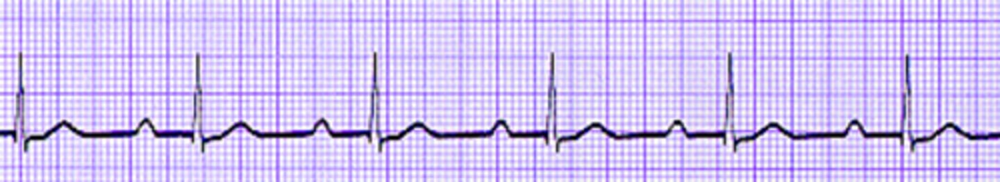 <p>What are the findings</p>