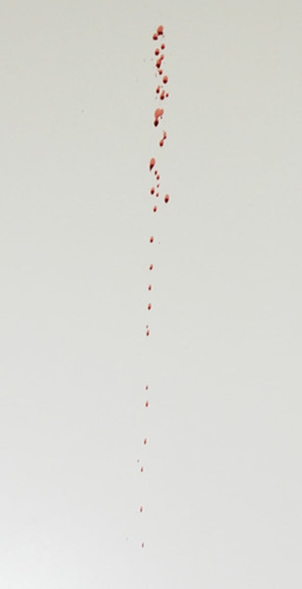 <p>A bloodstain pattern created when blood is released or thrown from a blood-bearing object in motion.<br><br>DESCRIPTION: This example was generated by putting blood on a knife blade and swinging the blade in a downward motion in front of the target.<br><br>The volume of the drops and impact angles changed as the knife continued through its downward motion.</p>