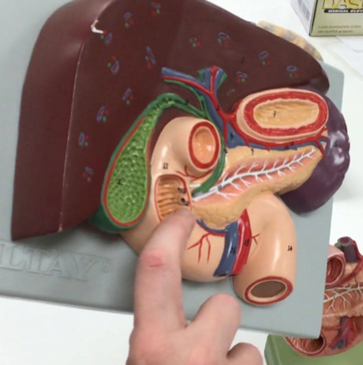 <p>name the space</p>