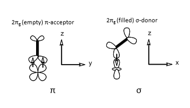 <p>In order to get sigma and pi interactions. </p><p>(And also because it is forced to sterically due to the histidine).</p>