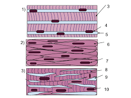 <p>what is this </p>