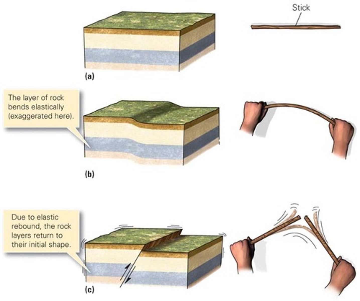 <p>The theory that stress builds up in rocks until it exceeds their strength, causing a sudden release of energy that results in an earthquake.</p>