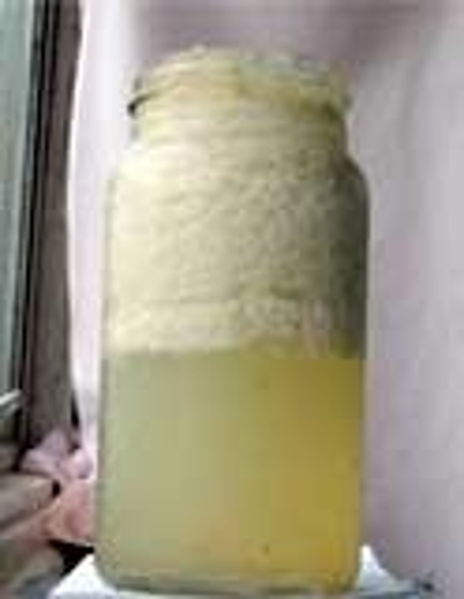 <p>raw milk that has soured and thickened</p>