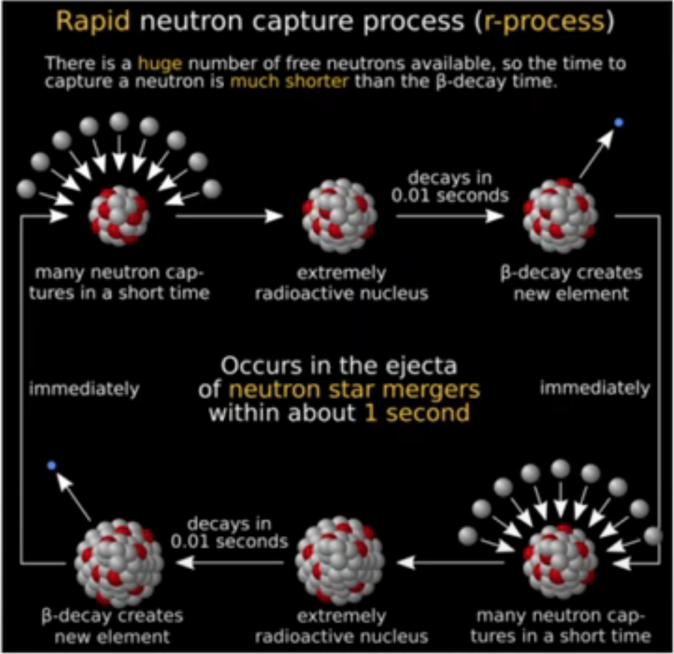 <p>Rapid Neutron Capture Process occurs in supernovae over a short period of time when there is a high neutron density and high stellar temperatures. Neutron capture is more likely than beta decay. More neutrons in a nucleus will lead to more beta decay and more heavier elements</p>