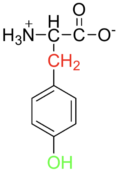 <p>Name, Type (A/N/B), Polarity</p>