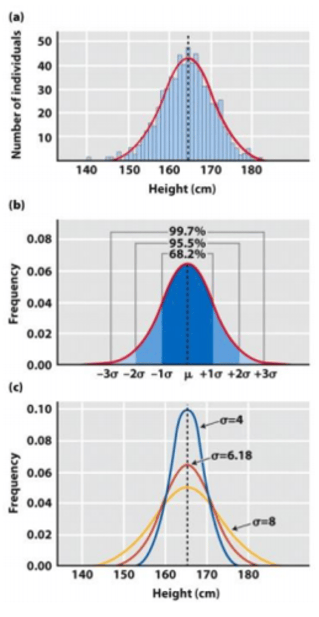 <p>1) bell shaped curve with a peak at the mean value and symmetrical distribution about the mean.</p><p>(a) the mean and standard deviation</p><p>2) fall within a certain distance from the mean.</p><p>(a) 68%</p><p>(b) 95.5%</p>