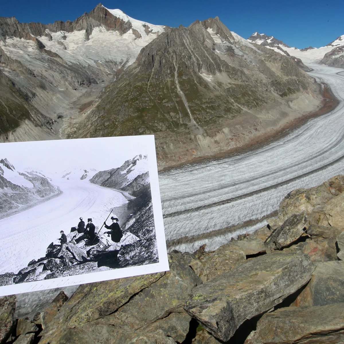 <p><strong>Primary Succession. </strong>Example?</p>