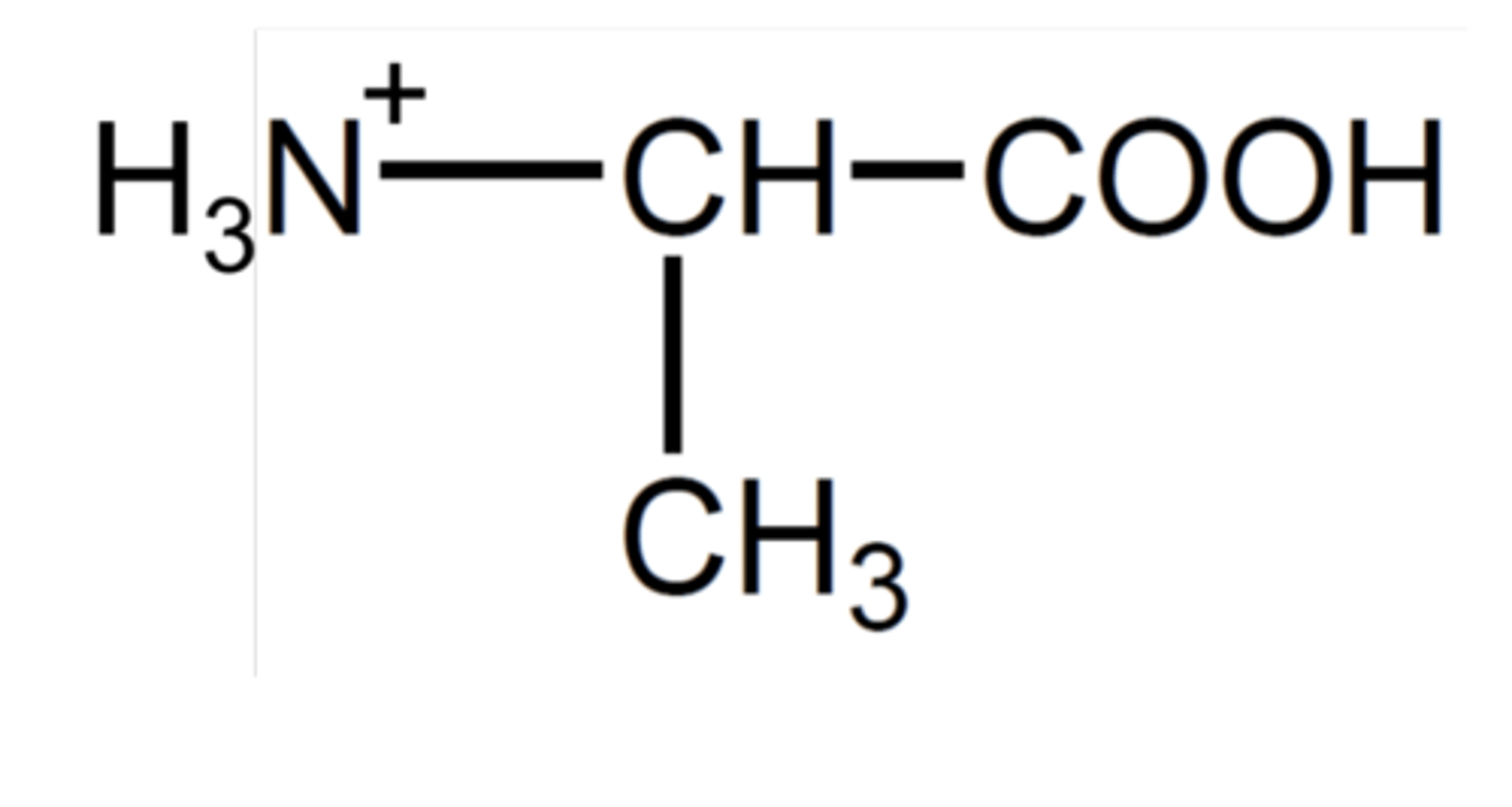 <p>The amine group is protonated by acids</p>