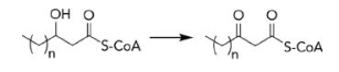 <p>What enzyme class catalyzes the following reaction? (Note that there may be some missing reactants and products.)<br>a) lyase<br>b) hydrolase<br>c) transferase<br>d) dehydrogenase</p>