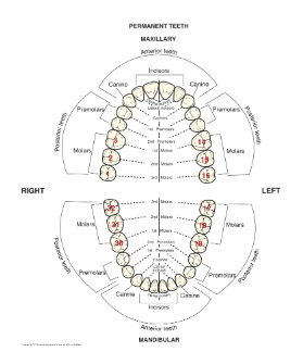 <p>NIET KIJKEN NAAR DE NUMMERS</p>