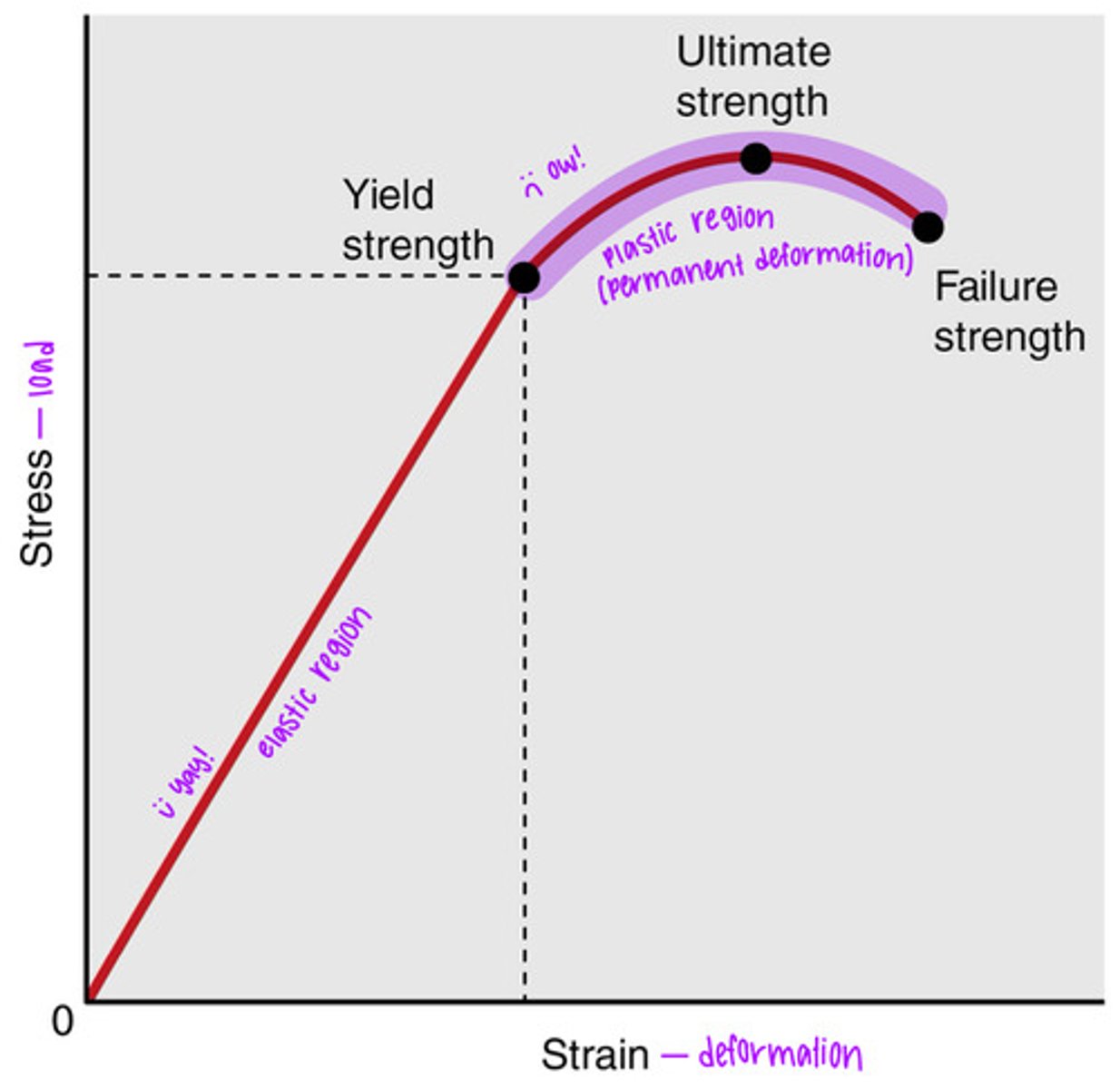 <p>yield point = the most elastic point before injury</p><p>ultimate strength = highest stress point</p><p>failure strength = rupture/fracture</p>