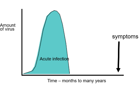 <p>Cancer from viral infection</p>