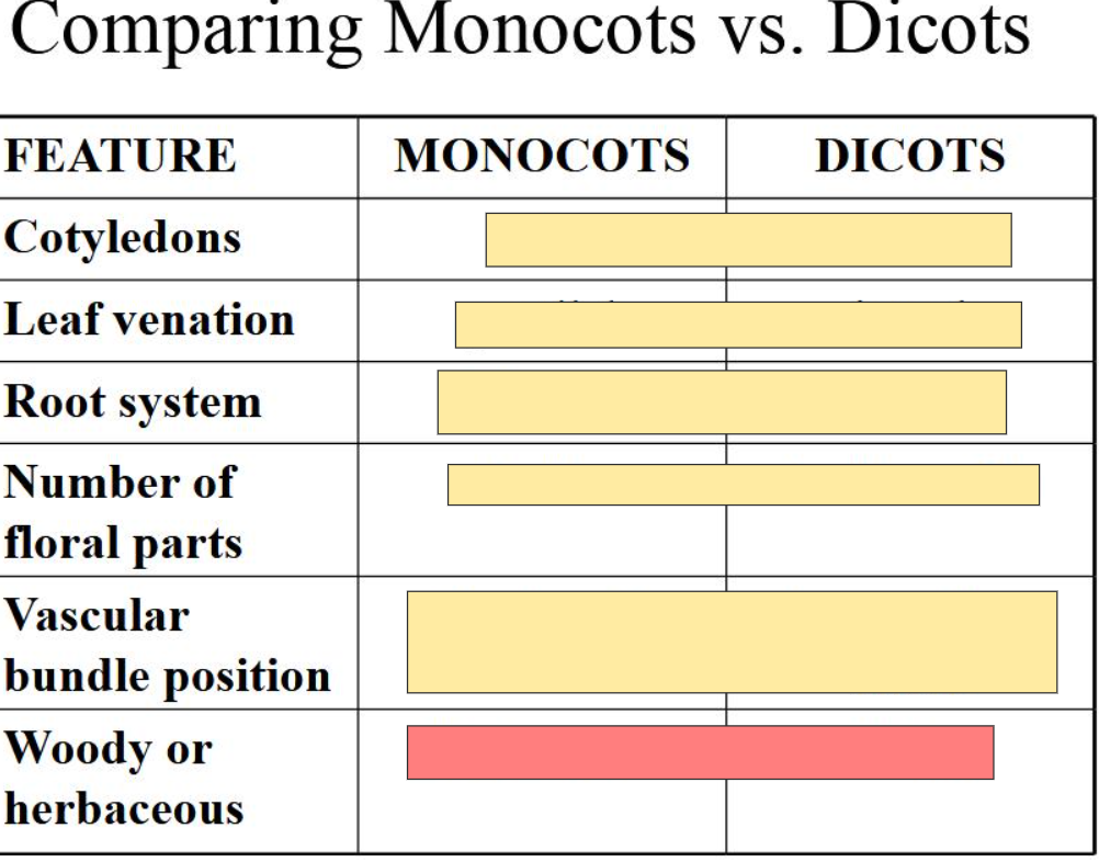 <p>answer in this format:<br>M- (answer)<br>D- (answer)</p>