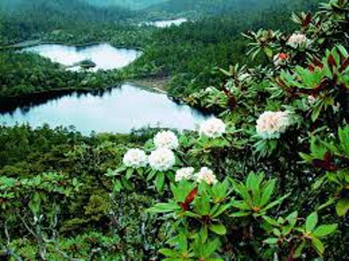<p>el medio ambiente</p>