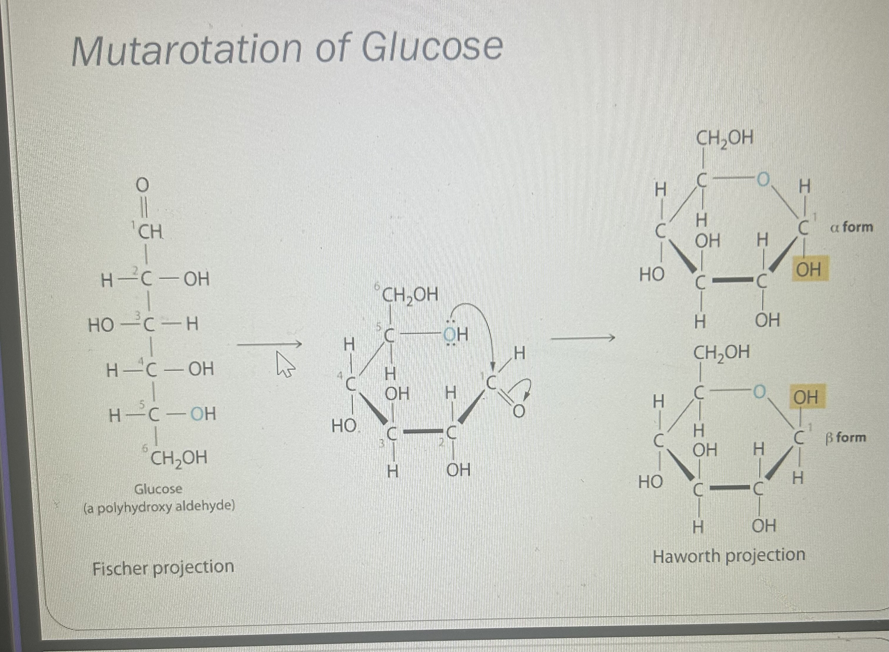 <p>-The gradual change in specific rotation</p><p>.</p><p>-Interconversion of α and β anomers in reducing sugars</p>