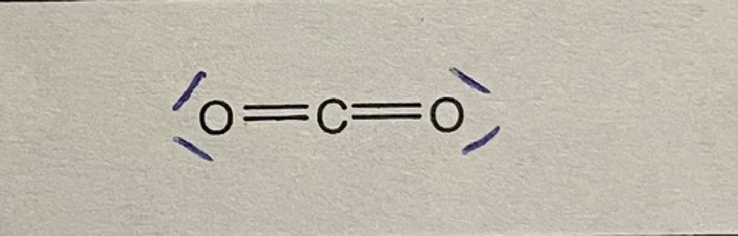 <p>Kohlenstoffdioxid (CO2)</p>