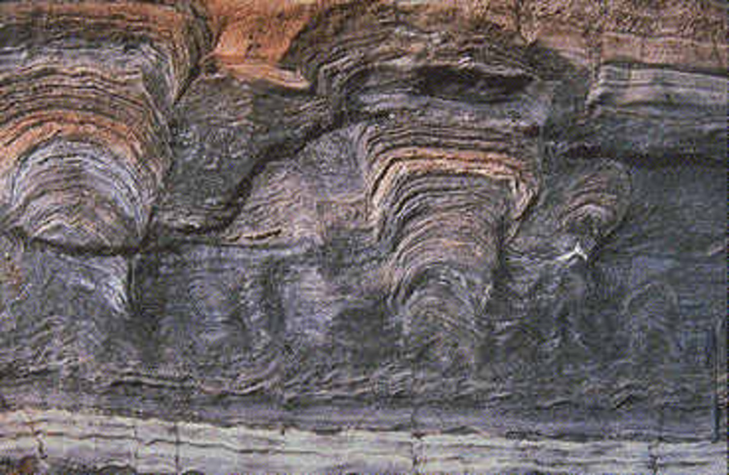 <p>Rock-like structures formed by ancient microbial communities</p>